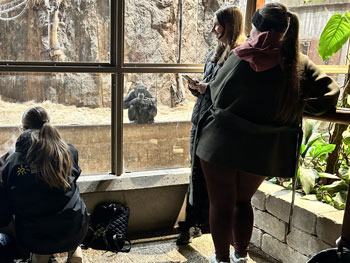 Tre ungdomar tittar på en apa