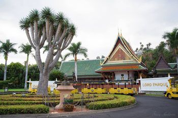 Entrén till Loro Parque, hus med spetsigt grönt tak och palmer framför.
