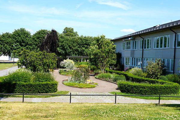 Skolans fina trädgård med bla gröna svängda häckar och grusgångar. Skolhuset skymtas på högersidan.