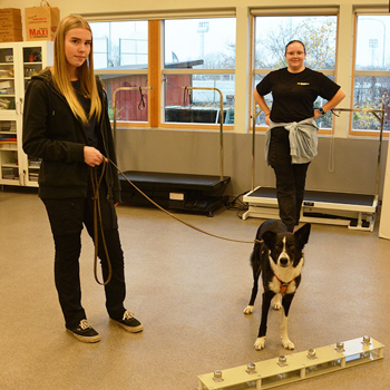 Två ungs kvinnor och en hund