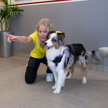 En flicka och en hund