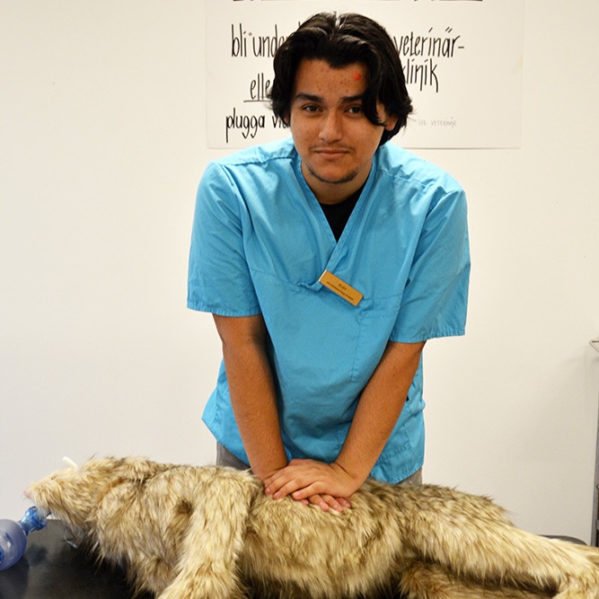 Em kille med en l&aring;tsashund