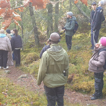 Flera personer i naturen