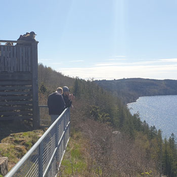 Två killar tittar på utsikten