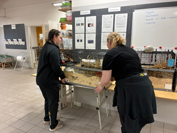 Två kvinnor tittar ner i en djurbur