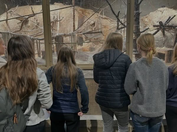 Ungdomar tittar in ett terrarie
