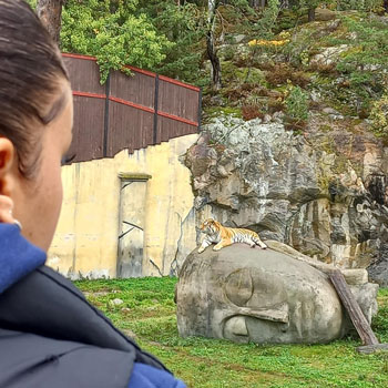 Profilen på en kvinna som ser ett lejon på en sten
