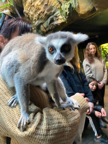 Djur och elever på Tropicarium