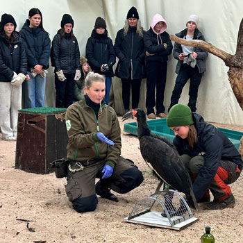 Flera ungdomar tittar på hanteringen av en fågel