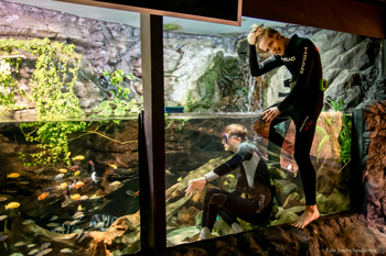 Två elever i våtdräkt rengör akvarier