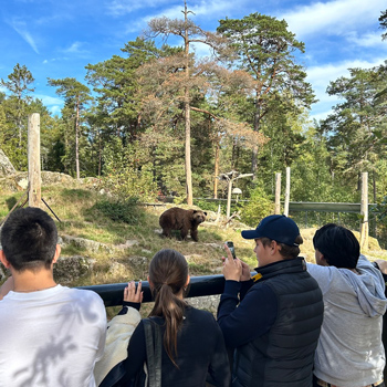 Flera människor tittar på en björn i ett hägn