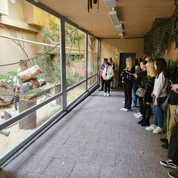 Ungdomar besöker djurpark