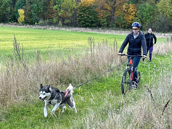 Flera personer med cyklar och hundar