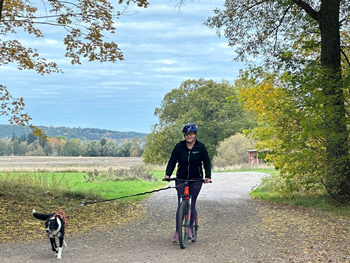 En person cyklar med en hund