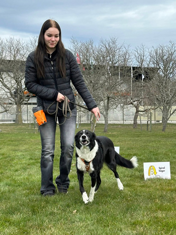 En ung tjej leder en hund