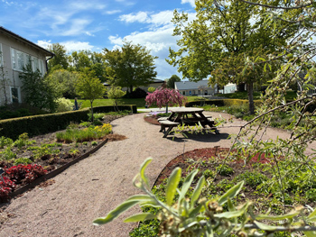 Blommande tr&auml;dg&aring;rd