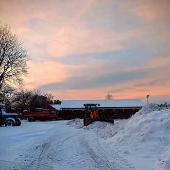 Traktorer som k&ouml;r sn&ouml; i solnedg&aring;ngen