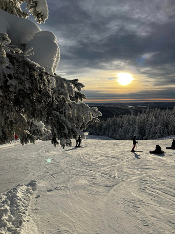 Utsikt i en slalombacke