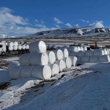 Ensilagebalar p&aring; Island