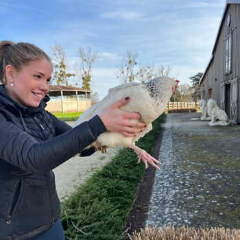 Flicka håller en höna