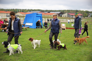 Tre personer leder varsin hund i koppel