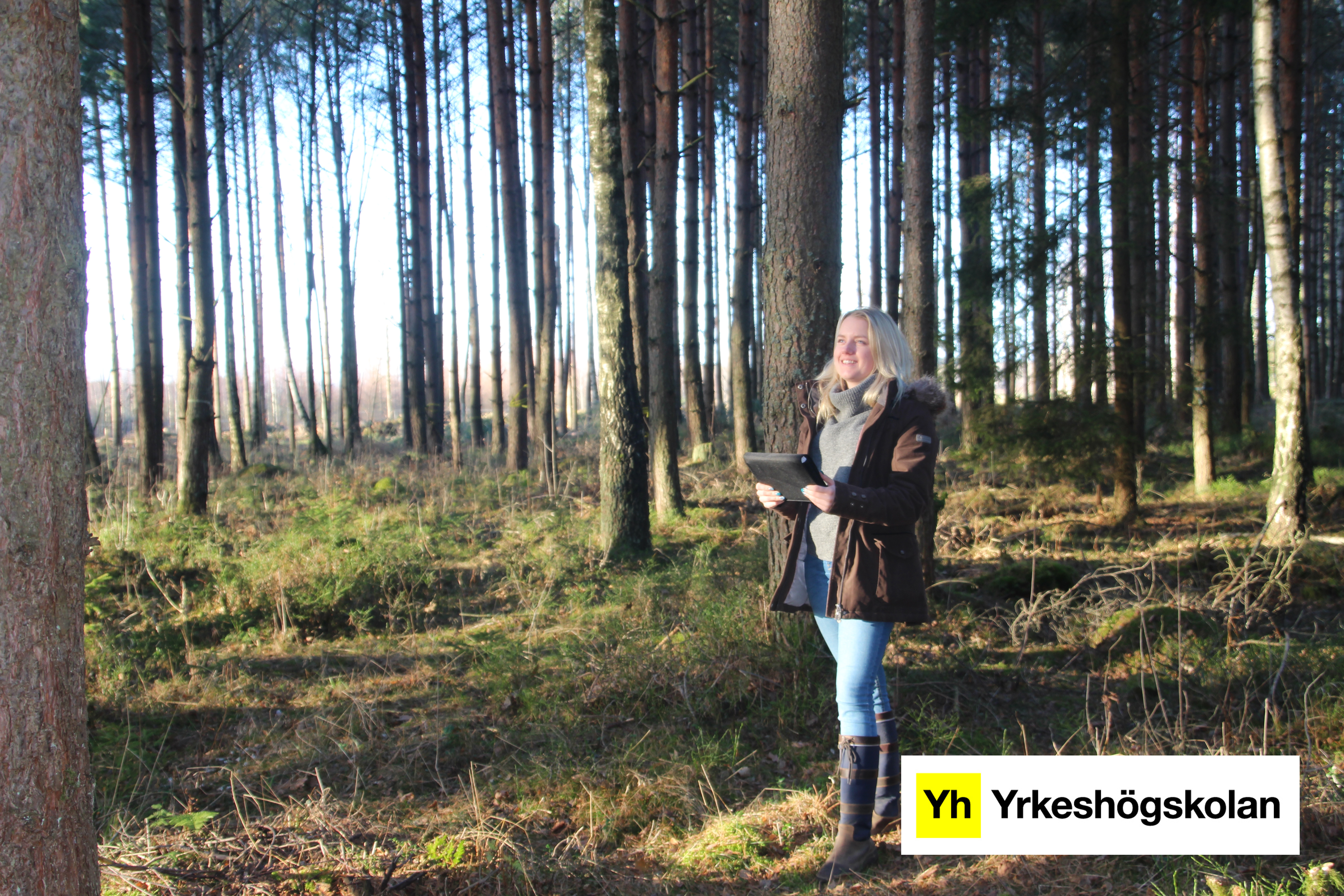 En person st&aring;r i en skog